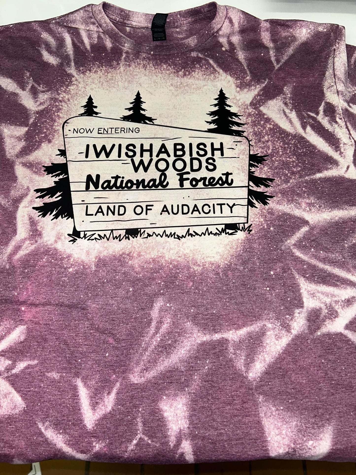 I Wishabish Woods National Forest